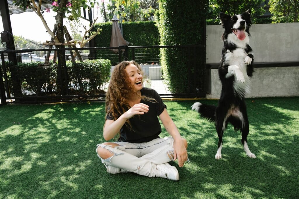 Happy woman and a happy dog playing in a park